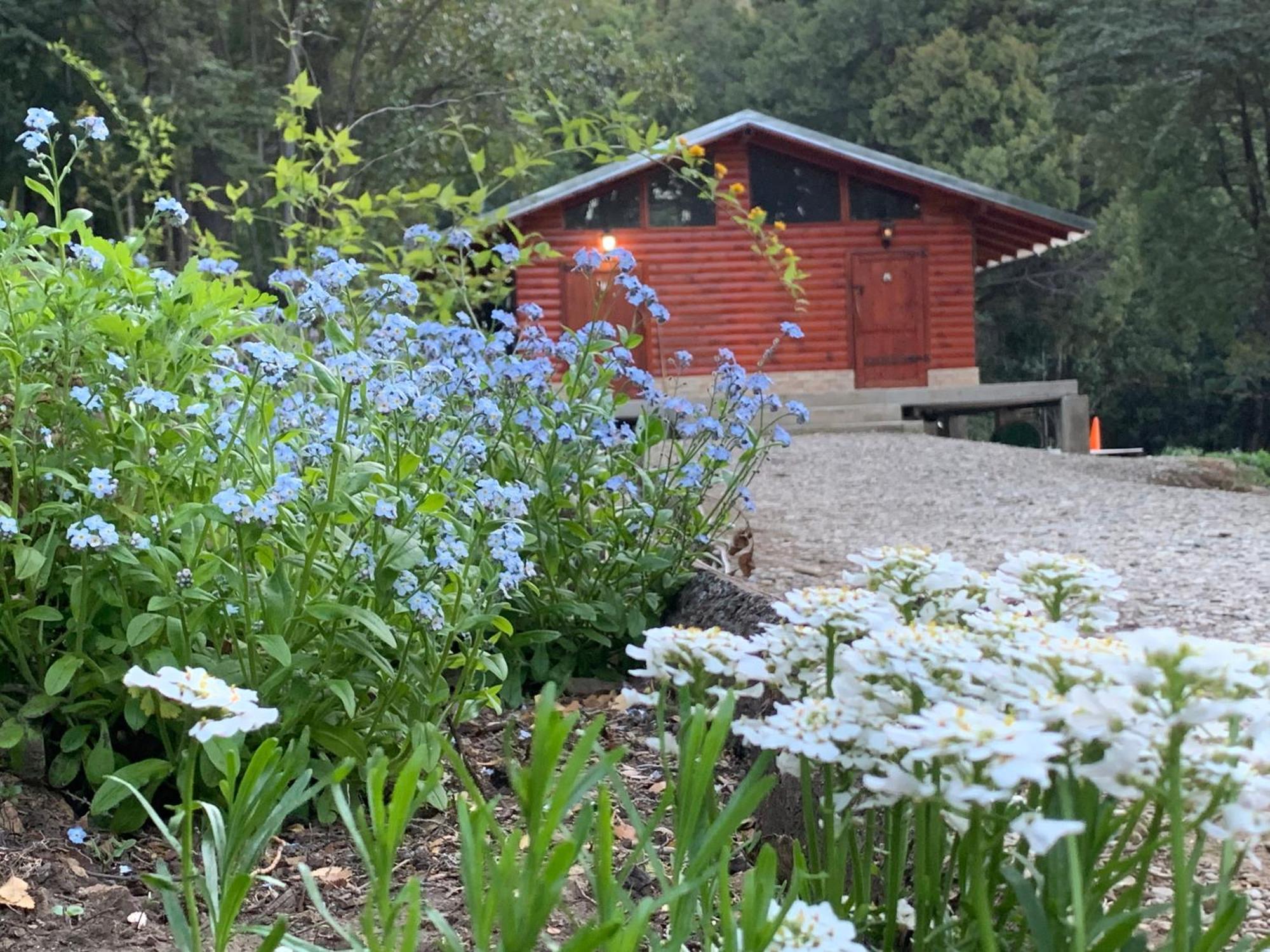 Refugio Ventana Campsite